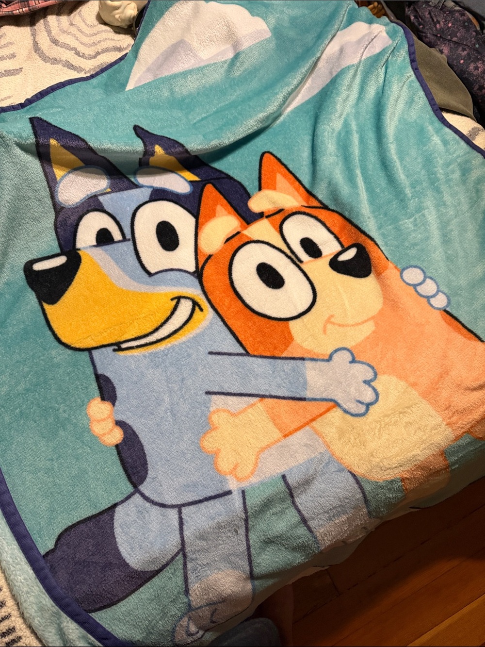 Kids size Bluey Blankie - Plush Home Bedding